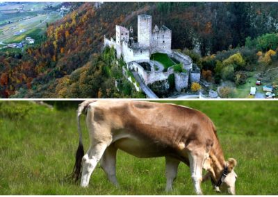 Unterwegs in Südtirol – Kunst und Geschichte in Prissian